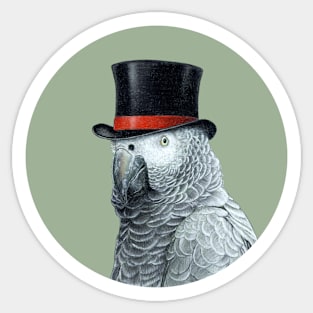 Grey parrot Sticker